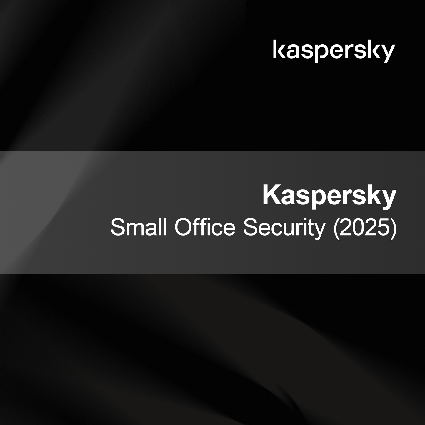 Kaspersky Småbedriftsikkerhet (2025)